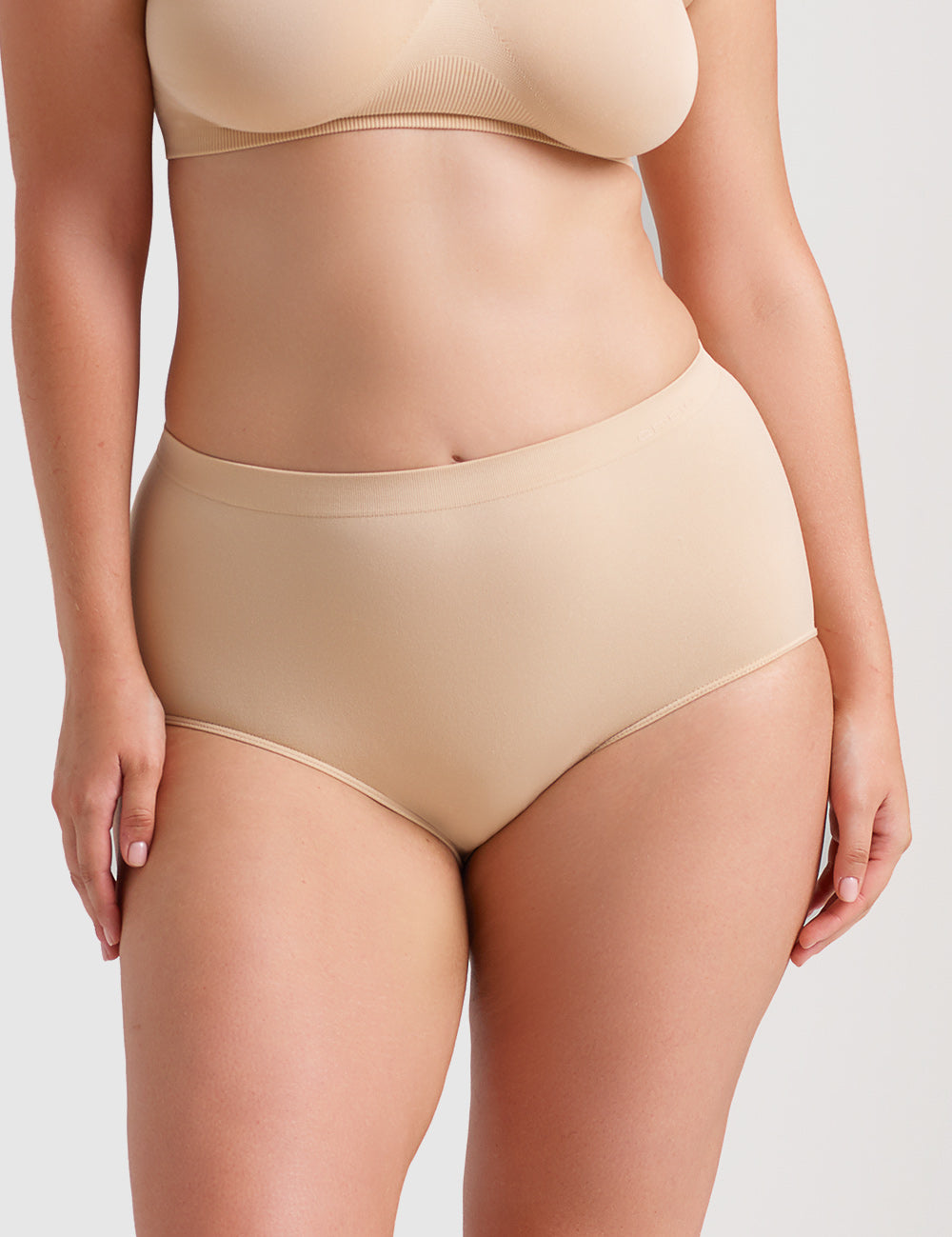 Curvesque Full Brief - Nude - Ambra Corporation